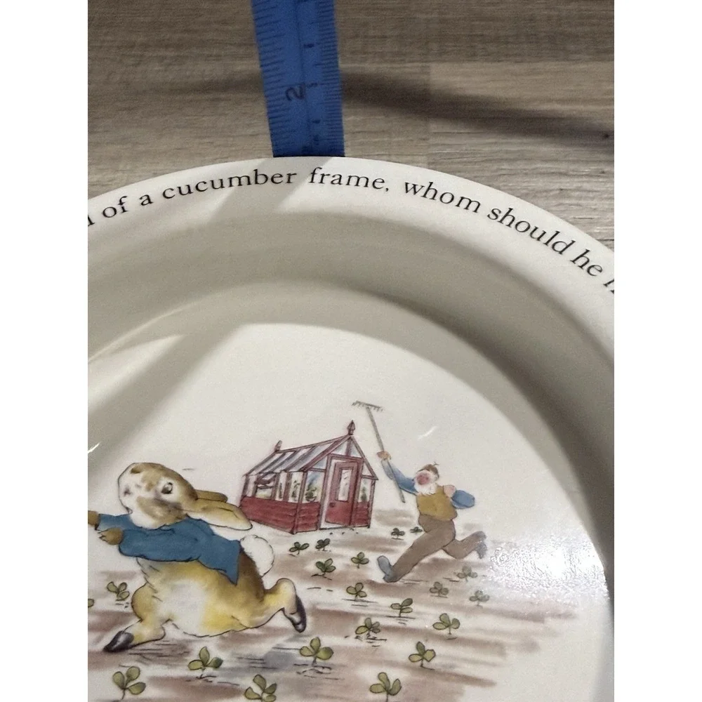 Set of 2 Wedgwood Peter Rabbit Plate 8